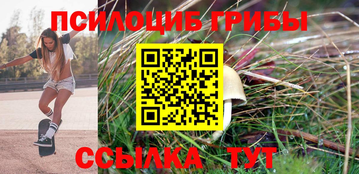 хочу наркоту  Псилоцибиновые грибы Cubensis  Вход с VPN  Сочи  Галлюциногенные грибы прущие грибы 