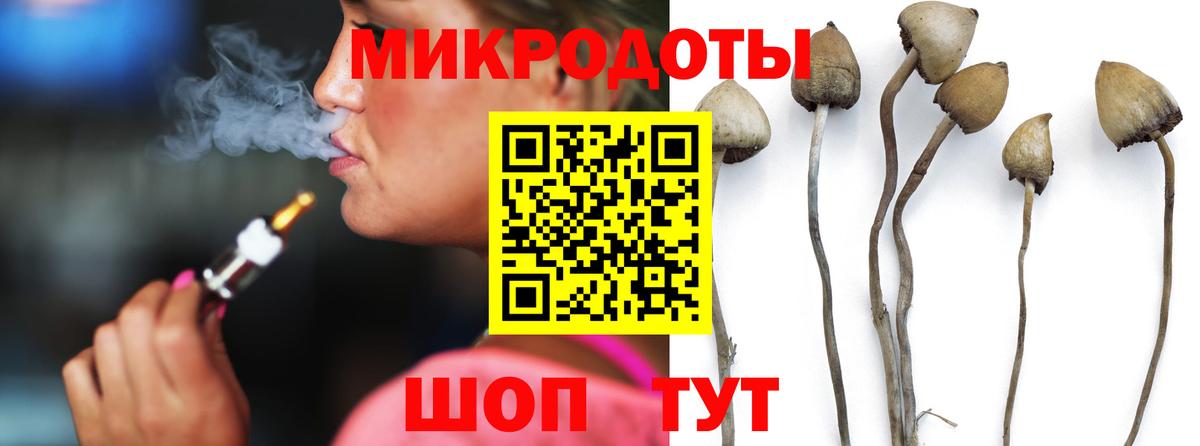 Псилоцибиновые грибы GOLDEN TEACHER Сочи